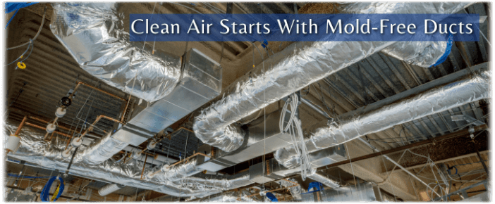 Air Duct Mold Removal in Bowie
