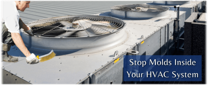 HVAC Mold Removal Bowie
